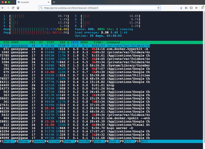 Browser-based SSH terminal accessing remote GPU server via SocketXP web portal