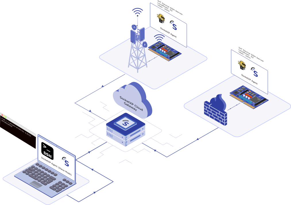 Remote Access Devices Connected to Starlink, 3G, 4G LTE, or 5G cellular network behind CGNAT